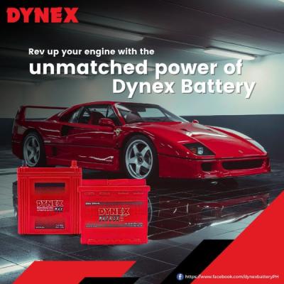 DYNEX DYNEX36B19L 33 Ah Battery